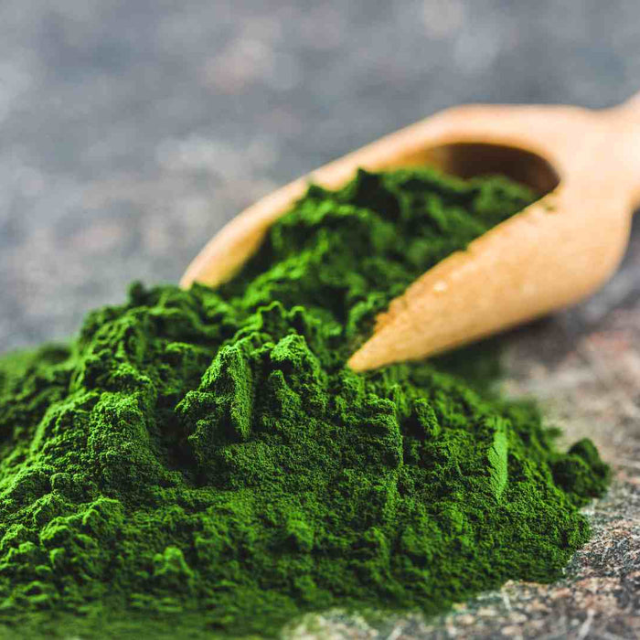 Chlorella Powder to Energize Your Day